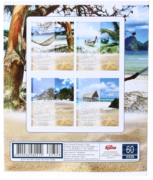 Тетрадь школьная 60 листов в линейку в ассортименте Мечты сбываются