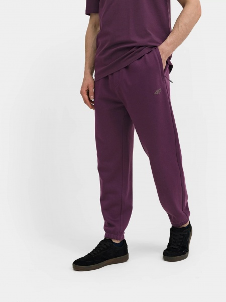 Штани 4F TROUSERS CAS M525 4FAW22TTROM525-60S р. M фіолетовий