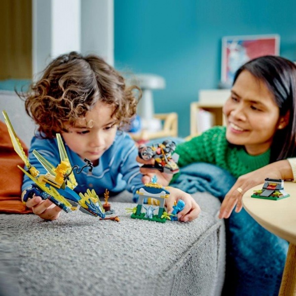 Конструктор LEGO NINJAGO Битва малюків драконів Нії та Арін 71798