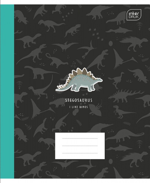 Тетрадь школьная А5 12 в линейку MIX 339430 InterDRUK