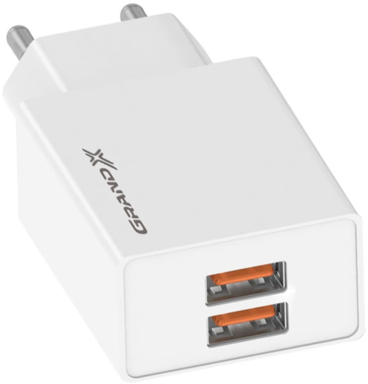Сетевое зарядное устройство Grand-X CH-15W