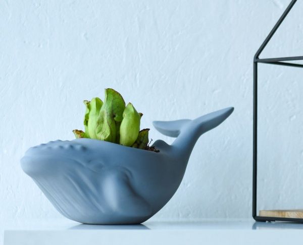 Кашпо Animal Land Кит серый Дон Пион