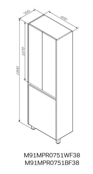 Пенал на ніжках AM.PM M91CRX0606WF38 GEM S з кошиком для білизни 60 см білий глянець/дерево