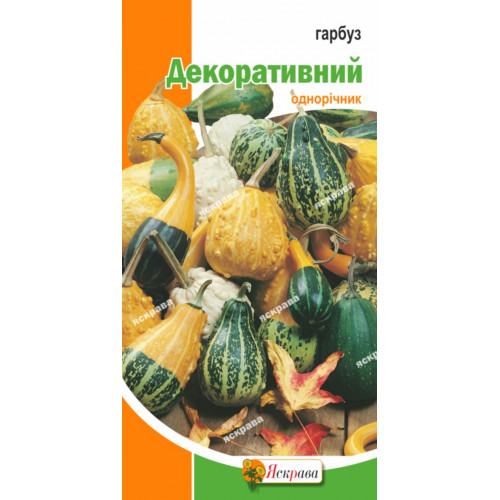 Семена Яскрава тыква Декоративный