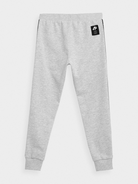 Брюки 4F HJZ21-JSPMD002A-27M р. 128 светло-серый