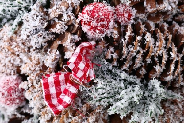 Куля хвойна Омела з шишками і ягідками d220 мм RS1Q1337 