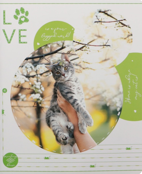 Тетрадь школьная Tadward 12 листов клетка