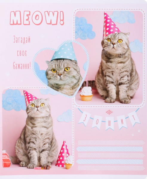 Тетрадь школьная Tadward коса