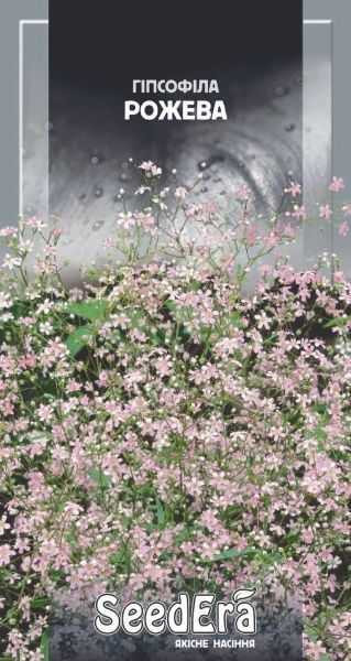 Семена Seedera гипсофила элегантная розовая 1 г