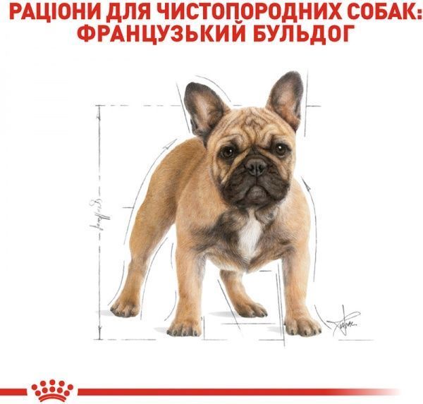 Корм Royal Canin для собак FRENCH BULLDOG ADULT 1,5 кг