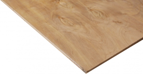 Фанера Україна влагостойкая шлифованная 1250х2500х4 мм (80510306) 