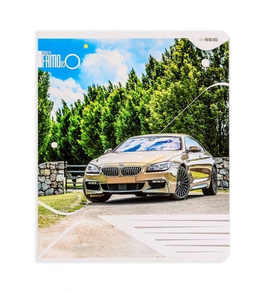 Комплект зошитів Популярні автомобілі 24 аркуша в клітку 20 шт. Поділля