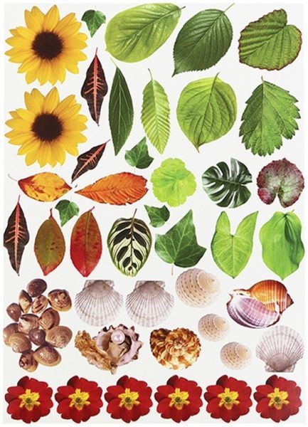 Набор текстурного картона Флора и Фауна А4 10 листов Лунапак