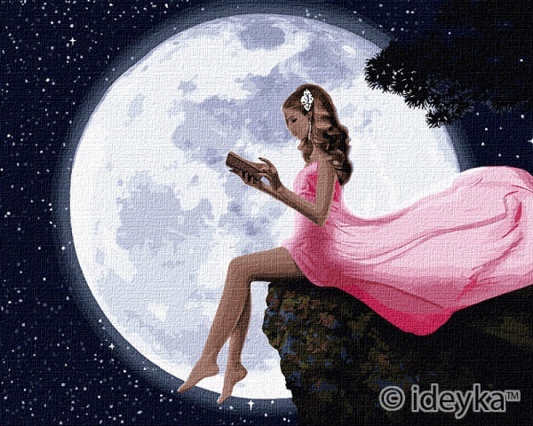 Картина по номерам Чтение под луной Идейка 