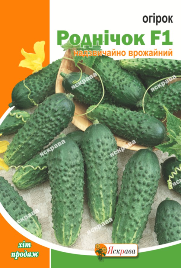 Семена Яскрава огурец Родничок