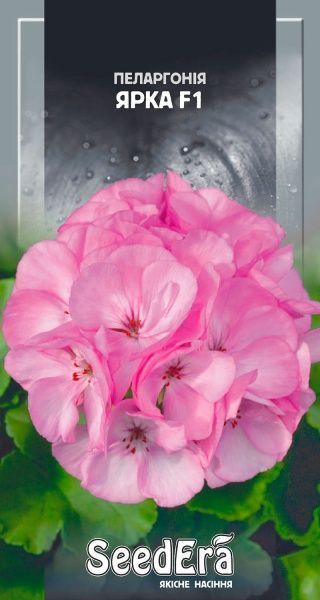 Семена Seedera пеларгония зональная Ярка F1 5 шт.