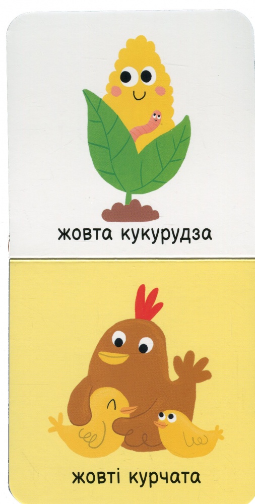 Книга «Мої кольори» 978-617-09-8958-1