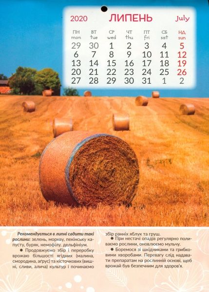 Календарь «Світовид міні Місячний календар городника»