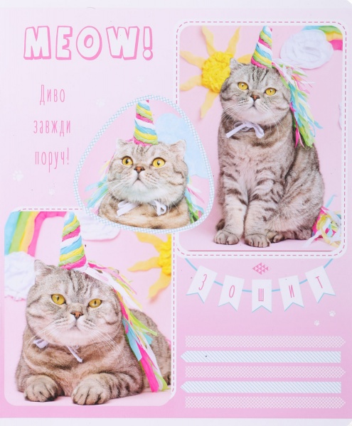 Тетрадь школьная Tadward коса