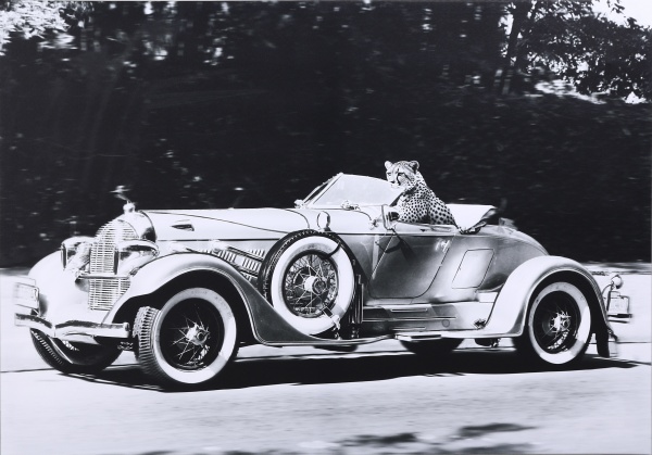 Картина Гепард 100x70 см Styler CA-18499 