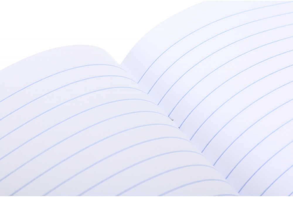 Зошит 96 аркушів у лінію (2252547045015) Nota Bene