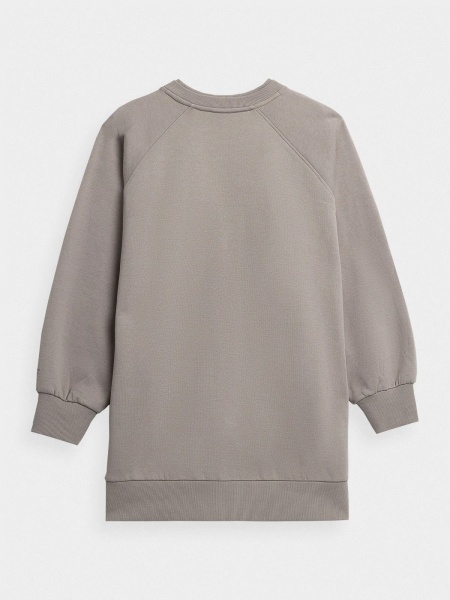 Свитшот 4F WOSWEATSHIRT BLD030 H4Z22-BLD030-26S р. XS светло-серый