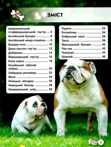 Книга Тамара Протасовицкая «Світ навколо нас. Собаки» 978-966-936-748-8