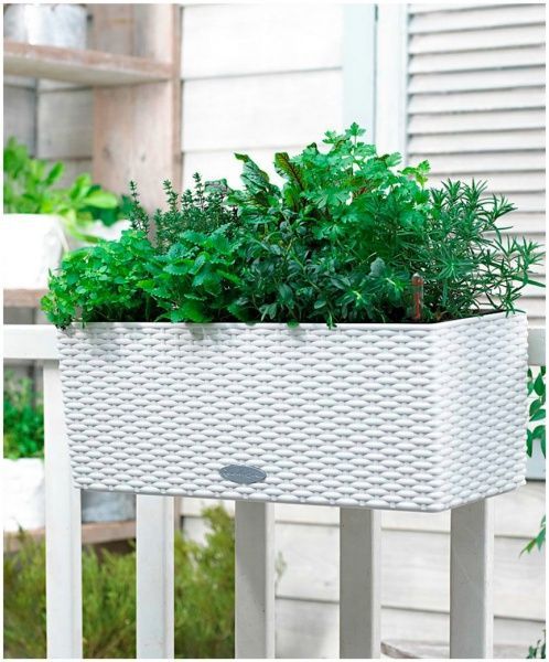 Ящик балконный Lechuza Balconera Cottage 50 15600 прямоугольный 18,1л белый 