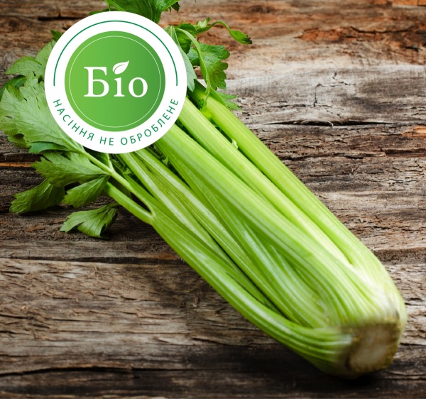 Семена Професійне насіння сельдерей черешковый Супер Грин 0,5г (4820176692627)