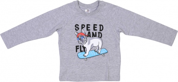 Джемпер для мальчика Funtime Speed and fly р.116 серый 
