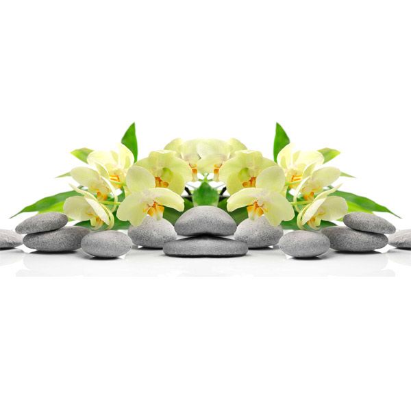 Декор Allore Group Сноувайт Орхідеї 200x500 мм