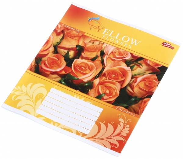 Зошит шкільний 24 аркуша у клітинку в асортименті Мрії збуваються