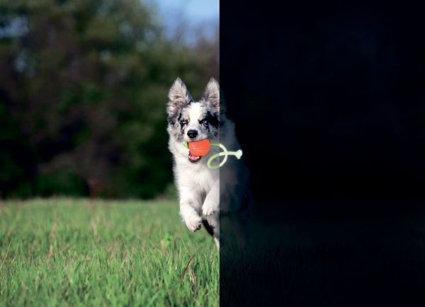 М’ячик Liker Lumi на шнурі 9 см