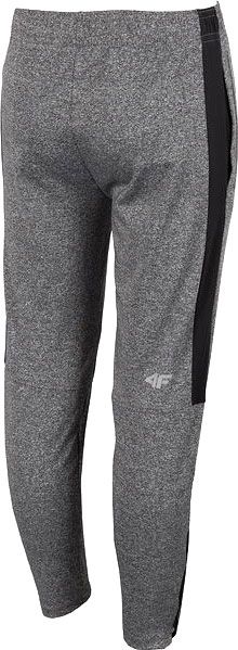 Брюки 4F HJL20-JSPMTR001-23M р. 152 темно-серый