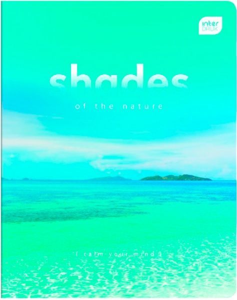 Тетрадь школьная 48 листов в клетку One color в ассортименте InterDRUK