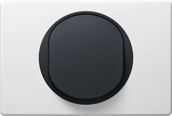 Вимикач прохідний одноклавішний Aling-Conel Eon без підсвітки 10 А 250В чорний E607.E1