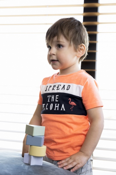 Футболка для мальчиков Dirkje р.116 ярко-розовый V42524-35 