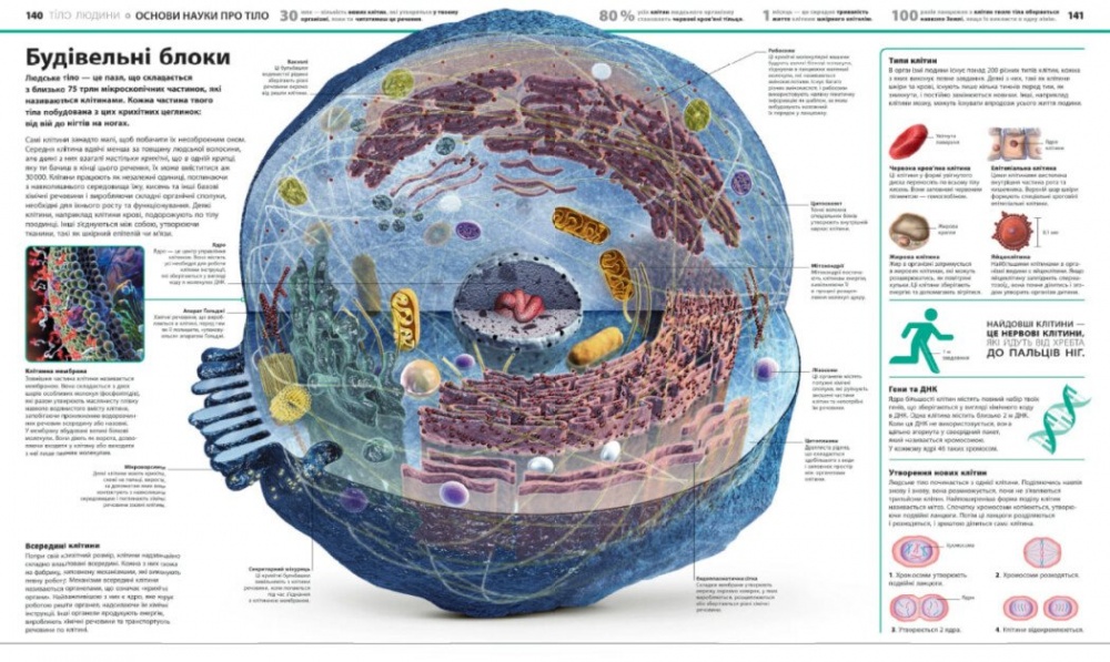 Книга Брайан Ким «Енциклопедія знань» 978-617-09-8945-1