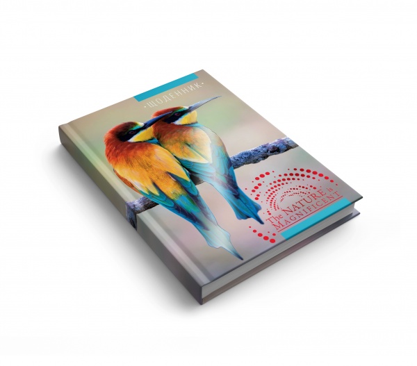 Дневник недатированный ART Аркуш В6 2023