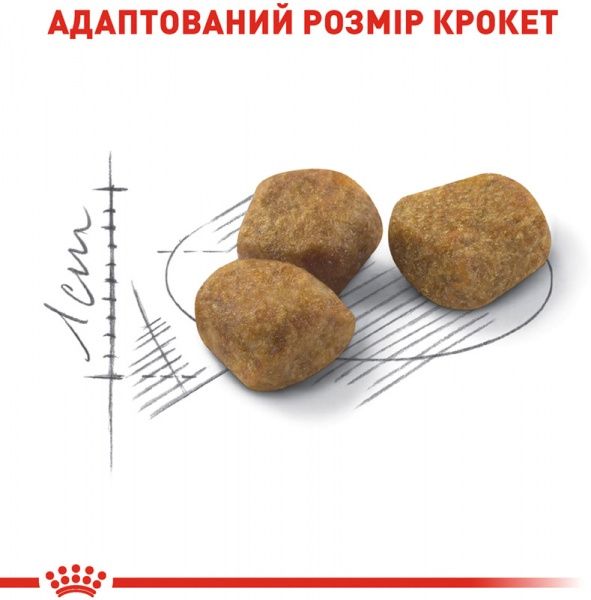 Корм Royal Canin Indoor +7 1,5 кг