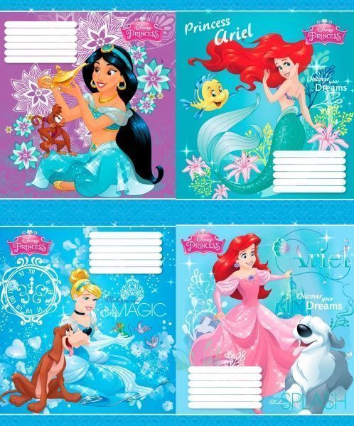 Тетрадь школьная Princess 12 листов в клетку Мицар+