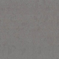 Шпалери вінілові гарячого тиснення Vinil Агава ЭШТ 7-1406 1,06x10,05 м 