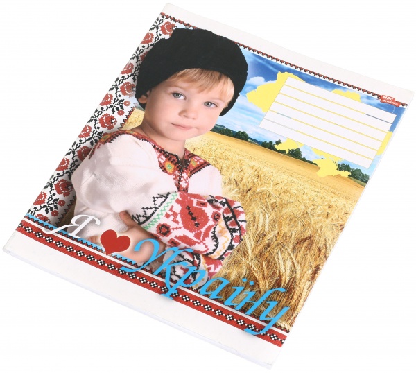 Зошит шкільний 48 аркушів у клітинку в асортименті Мрії збуваються