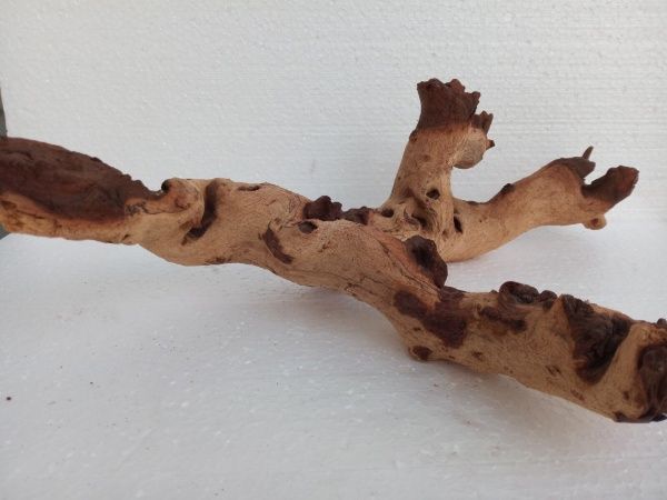 Декор Лотос К Коряга Мопани М