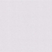 Шпалери зі спіненого вінілу Bravo категорія 538 84005BR82 1,06x10,05 м 