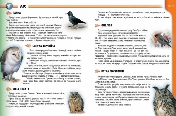 Книга «Рослини та тварини України» 978-617-695-062-2