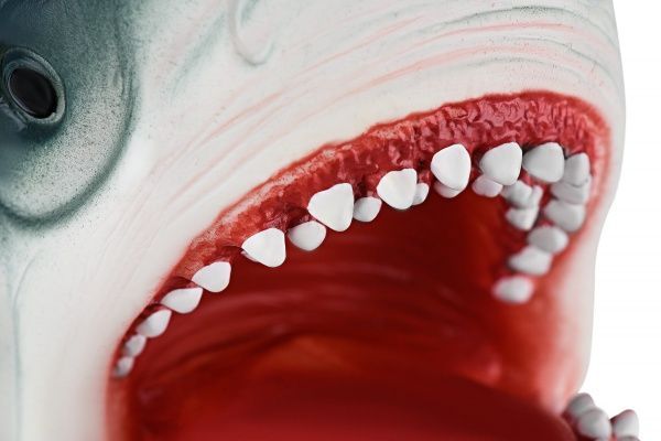 Іграшка-рукавичка Same Toy Акула X301UT