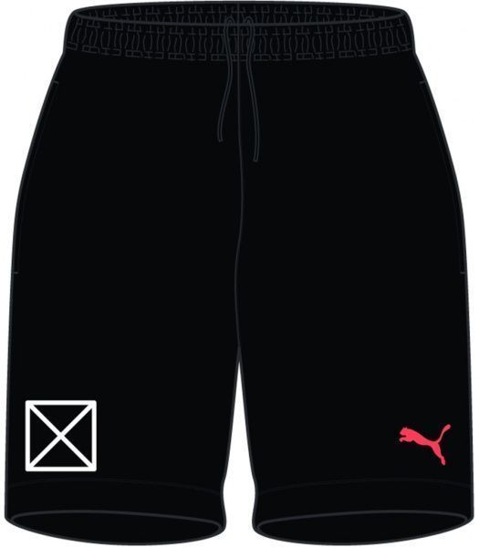 Шорти Puma individualRISE Shorts 65753843 р. L чорний