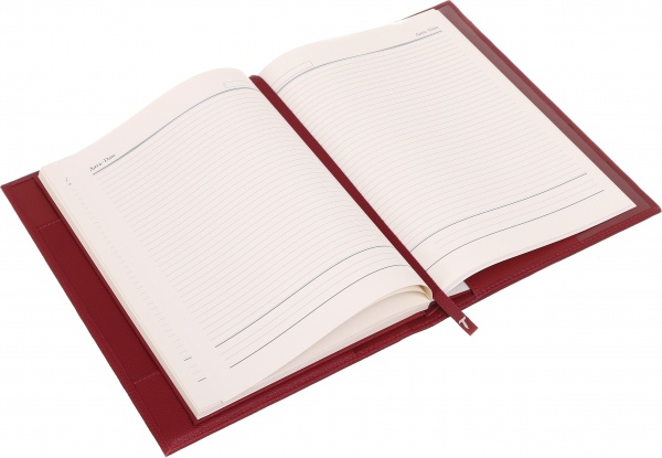 Дневник недатированный Флай красный ТЕКО A4 Е 040-00.62-312260