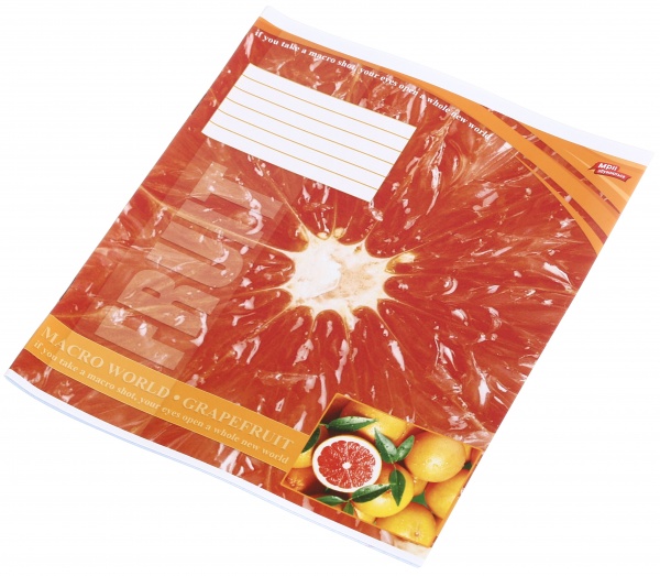 Тетрадь школьная 18 листов в клеточку в ассортименте Мечты сбываются